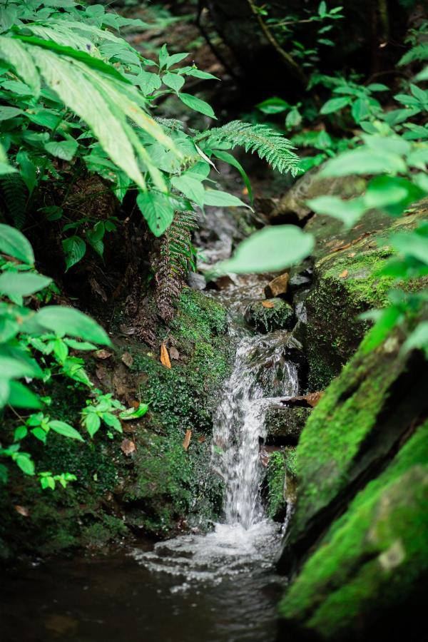 Hassan Valley Retreat 3* Kufri