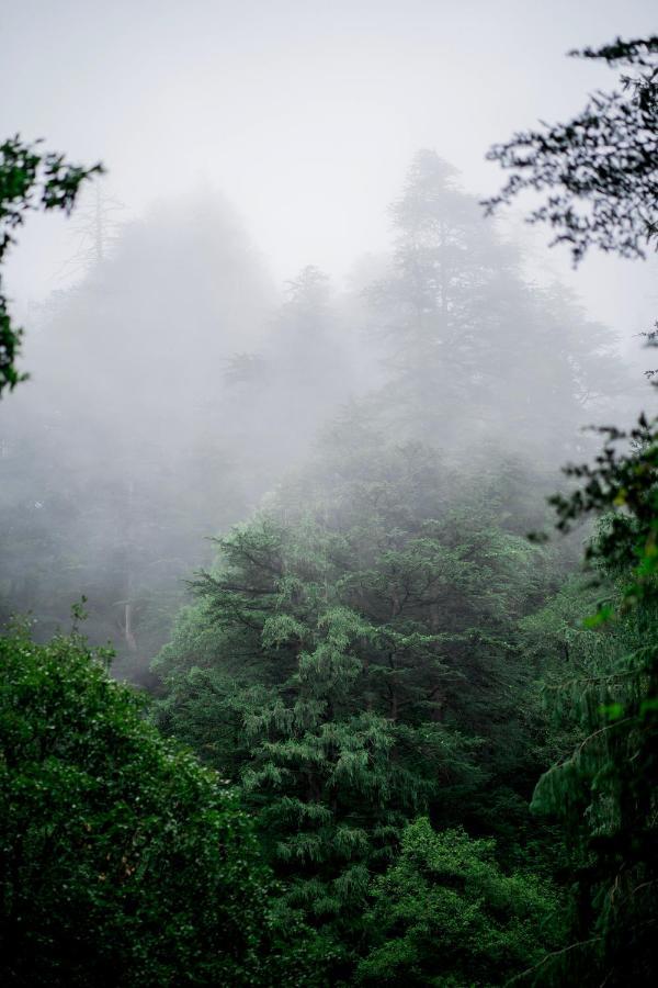 Hassan Valley Retreat Kufri