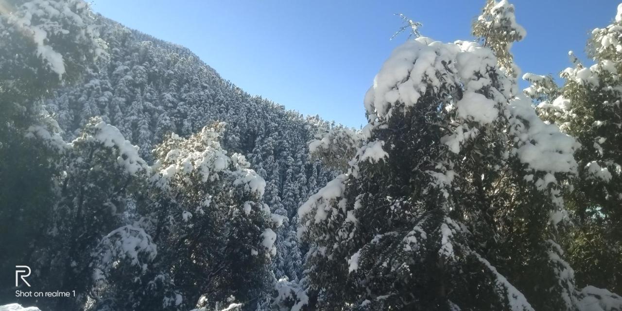 Bed & Breakfast Hassan Valley Retreat 3*