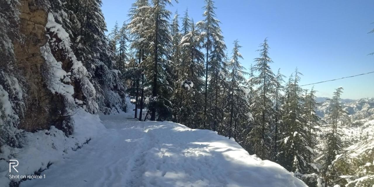 Hassan Valley Retreat Bed & Breakfast Kufri