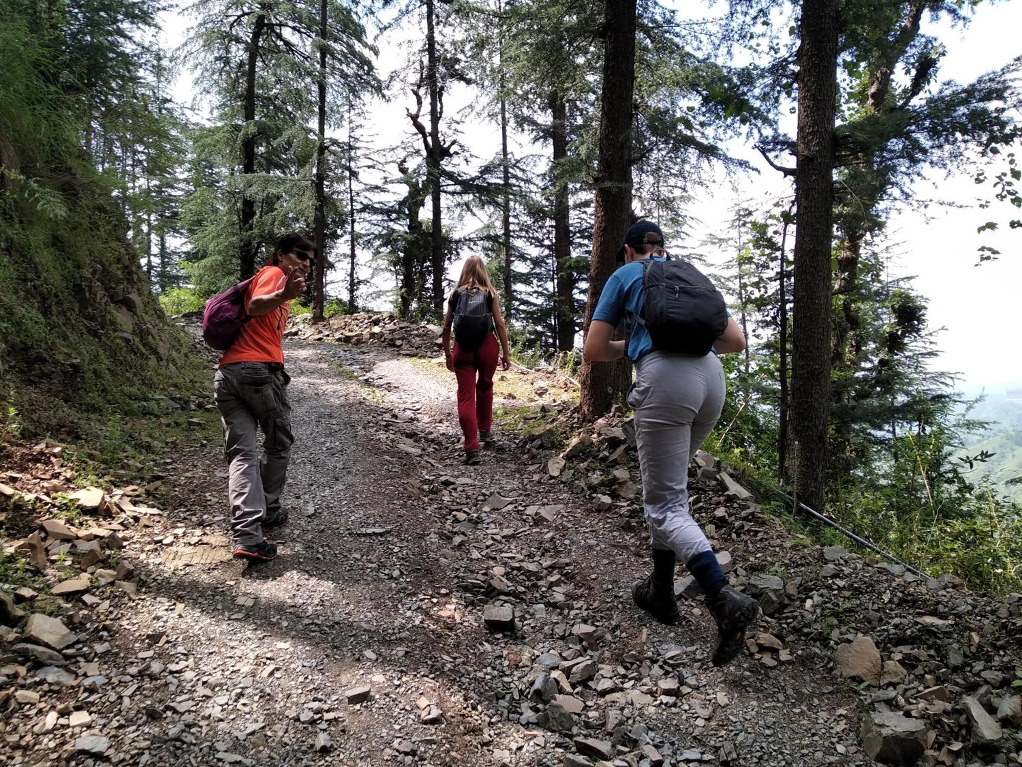 Hassan Valley Retreat Kufri