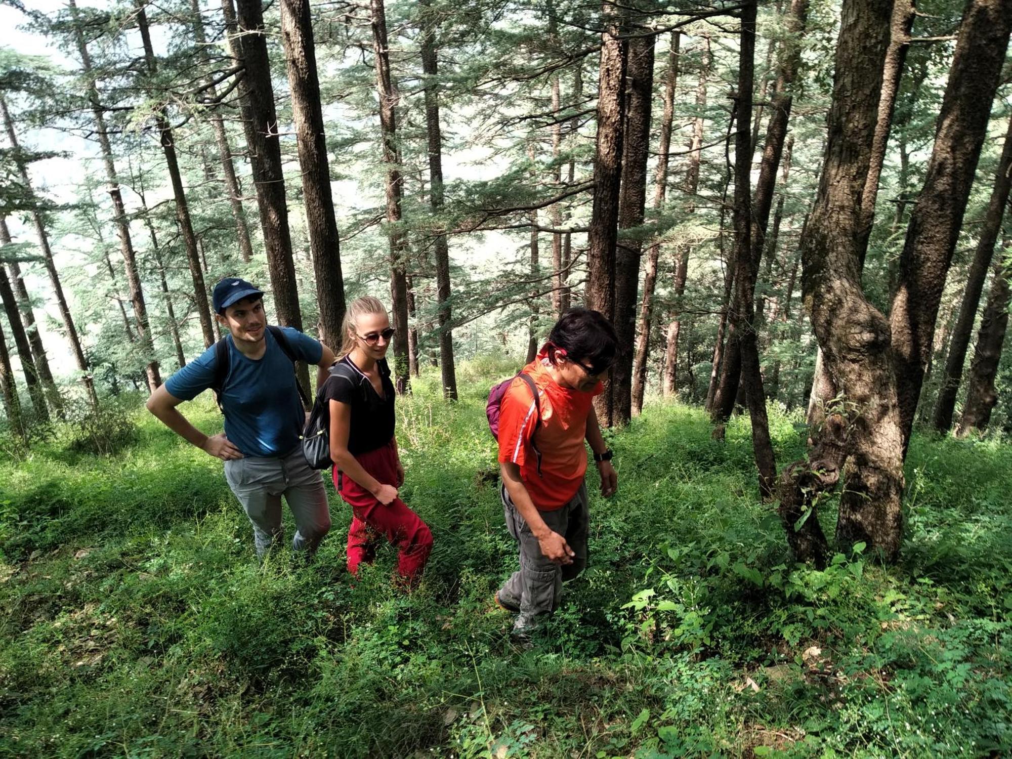 Hassan Valley Retreat Kufri
