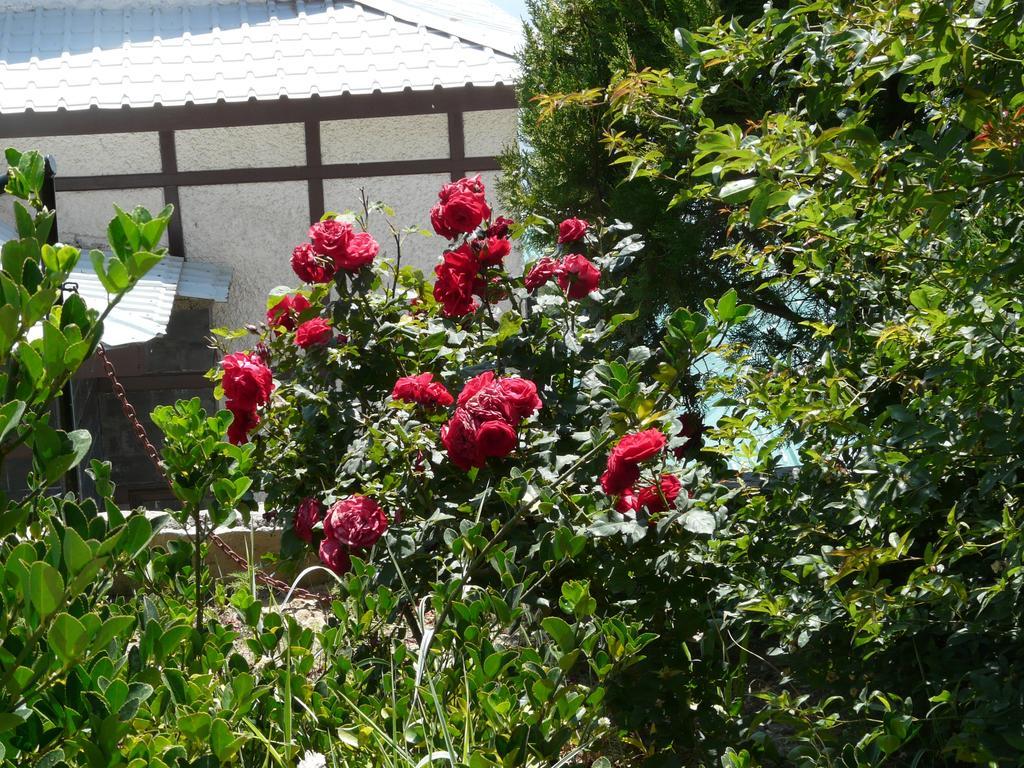 Hotel Snow King Retreat: Himalayan Views & Mountain Luxury 4*