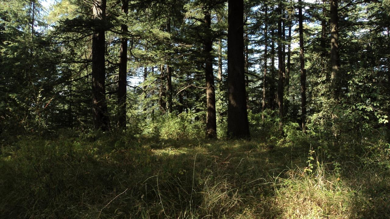Hassan Valley Retreat Bed & Breakfast