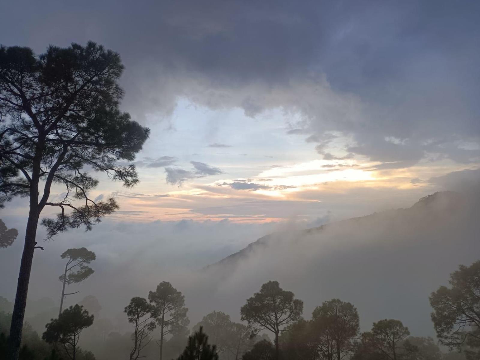 The Sky Mountain I Serviced I Balcony I Valley And Mountain View I Family Groups & Bonfire I Memories & Enjoyment I Operated By Exotic * Kufri