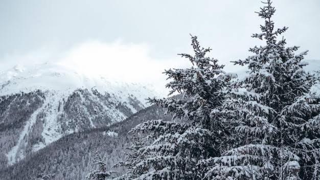 Apartment Place For Yoga I Meditation I Snow & Cedar View I Room With Pvt Balcony I By Exotic Stays Kufri
