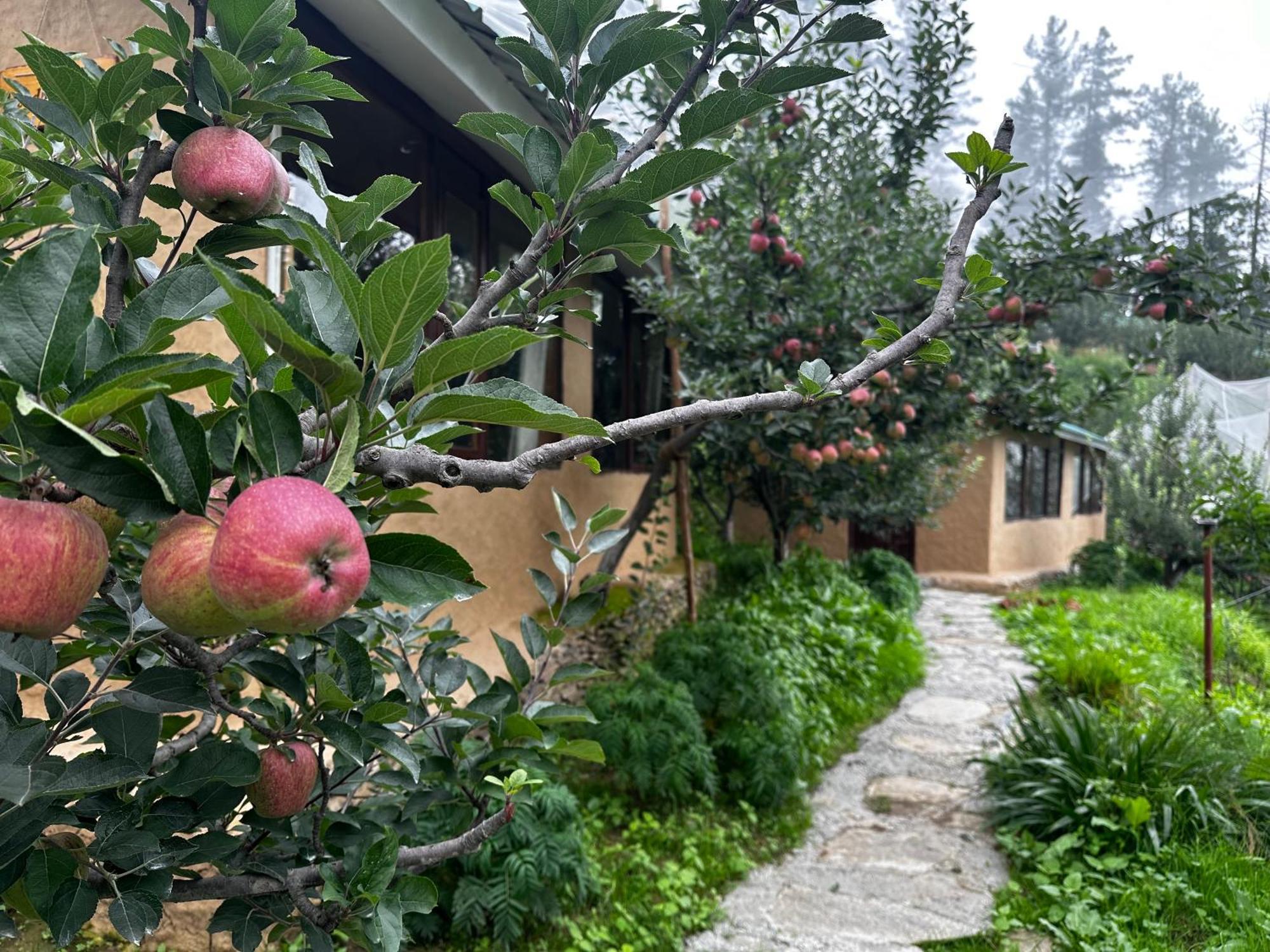 Daak Bangla Retreat Hotel