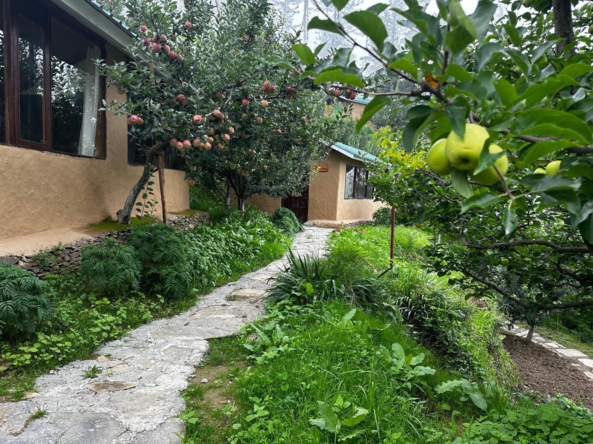 Hotel Daak Bangla Retreat 3*