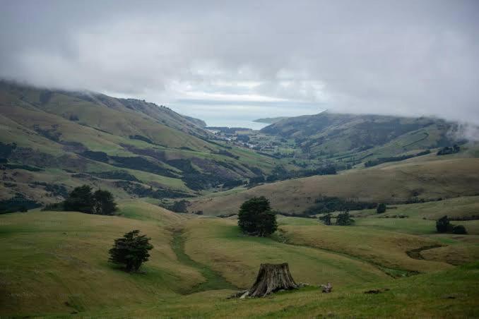 Mountain View By Charvi Hotel 3*