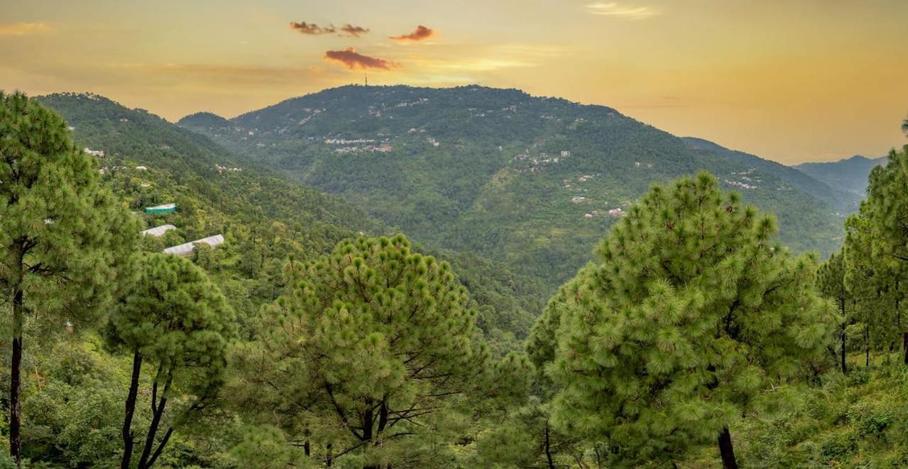 Connection With Hills Or Mountains L Memorable With Exoticstays