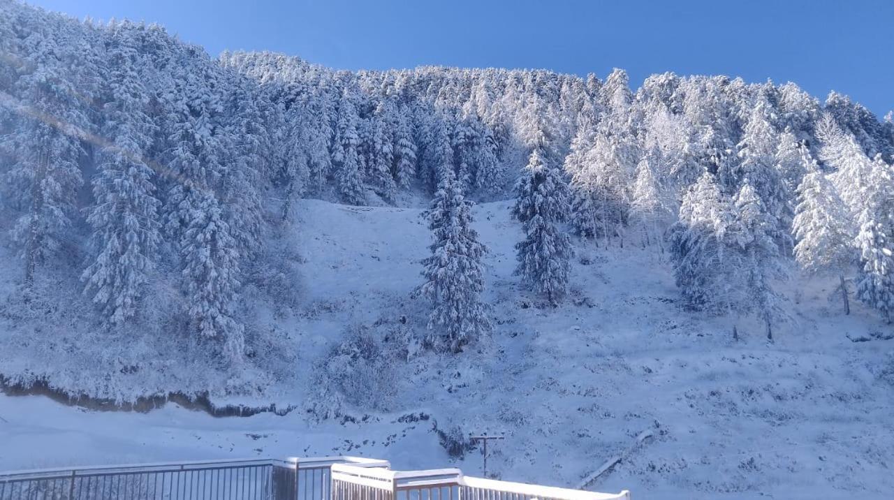 Hotel Heaven Of Himalayas I Vacations I Conference I Mice I Family Events I Open Air Terrace I Sky Bonfire I Wooden With Pvt Balconies I By Exotic Kufri
