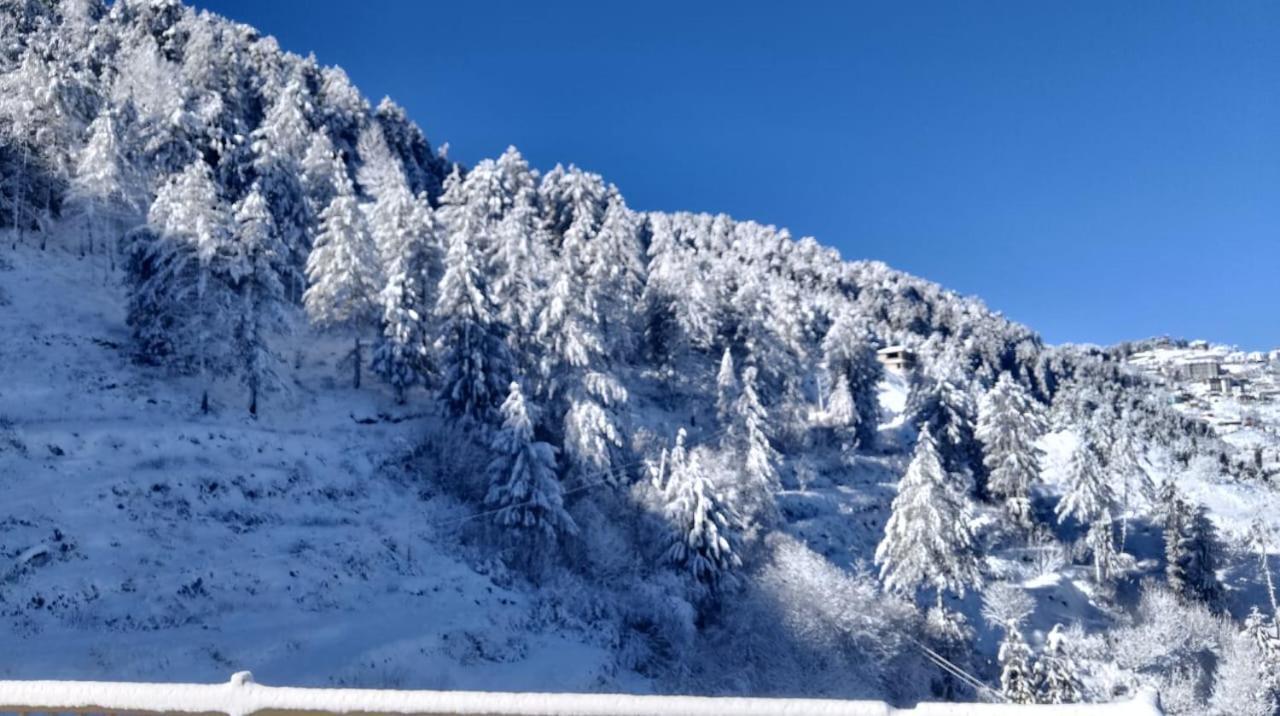 Heaven Of Himalayas I Vacations I Conference I Mice I Family Events I Open Air Terrace I Sky Bonfire I Wooden With Pvt Balconies I By Exotic 3* Kufri