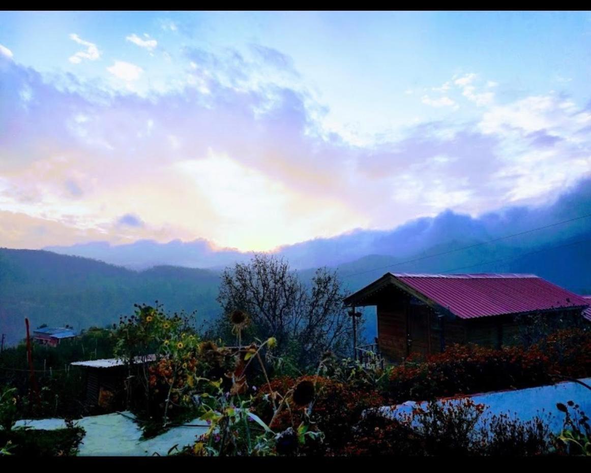 Resort Tvam Retreat & *